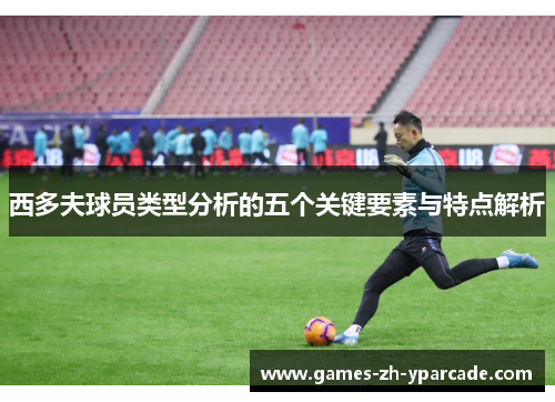 西多夫球员类型分析的五个关键要素与特点解析 西多夫球员类型分析的五个关键要素与特点解析