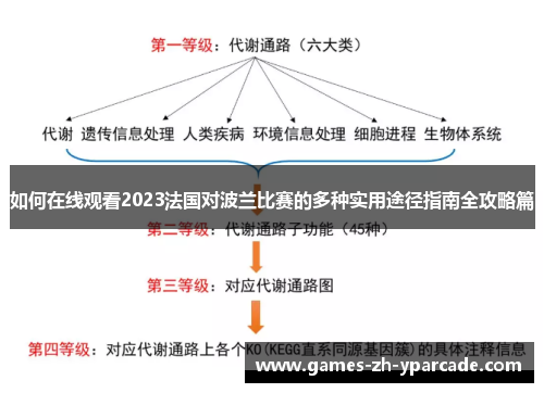 如何在线观看2023法国对波兰比赛的多种实用途径指南全攻略篇
