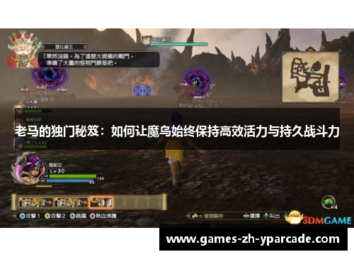 老马的独门秘笈：如何让魔鸟始终保持高效活力与持久战斗力